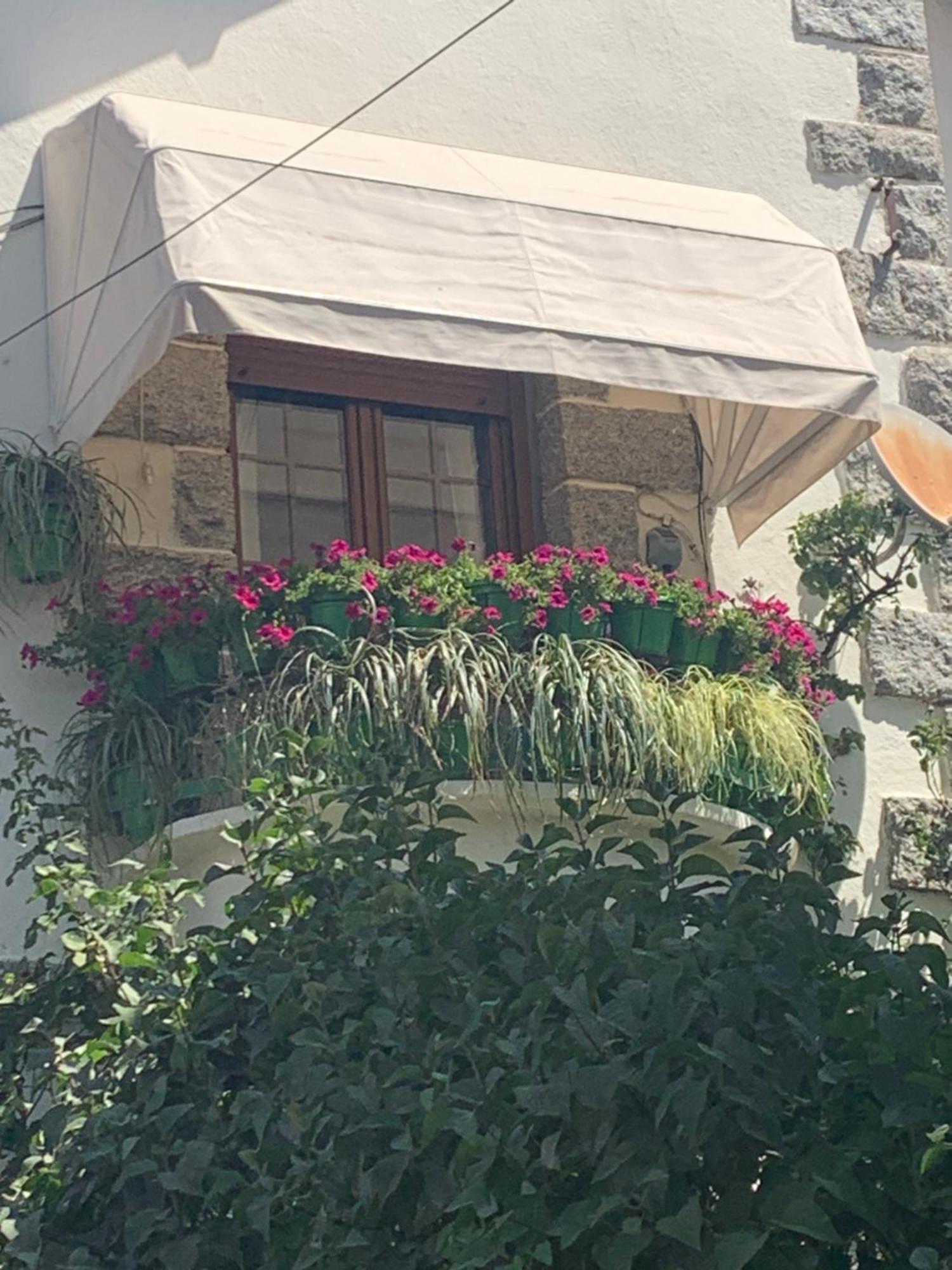 El Balcon De Araceli Apartment Cercedilla Exterior photo